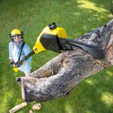 Best Aeration Services  in Lompoc, CA